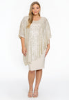 Dress PAILLETE - ecru